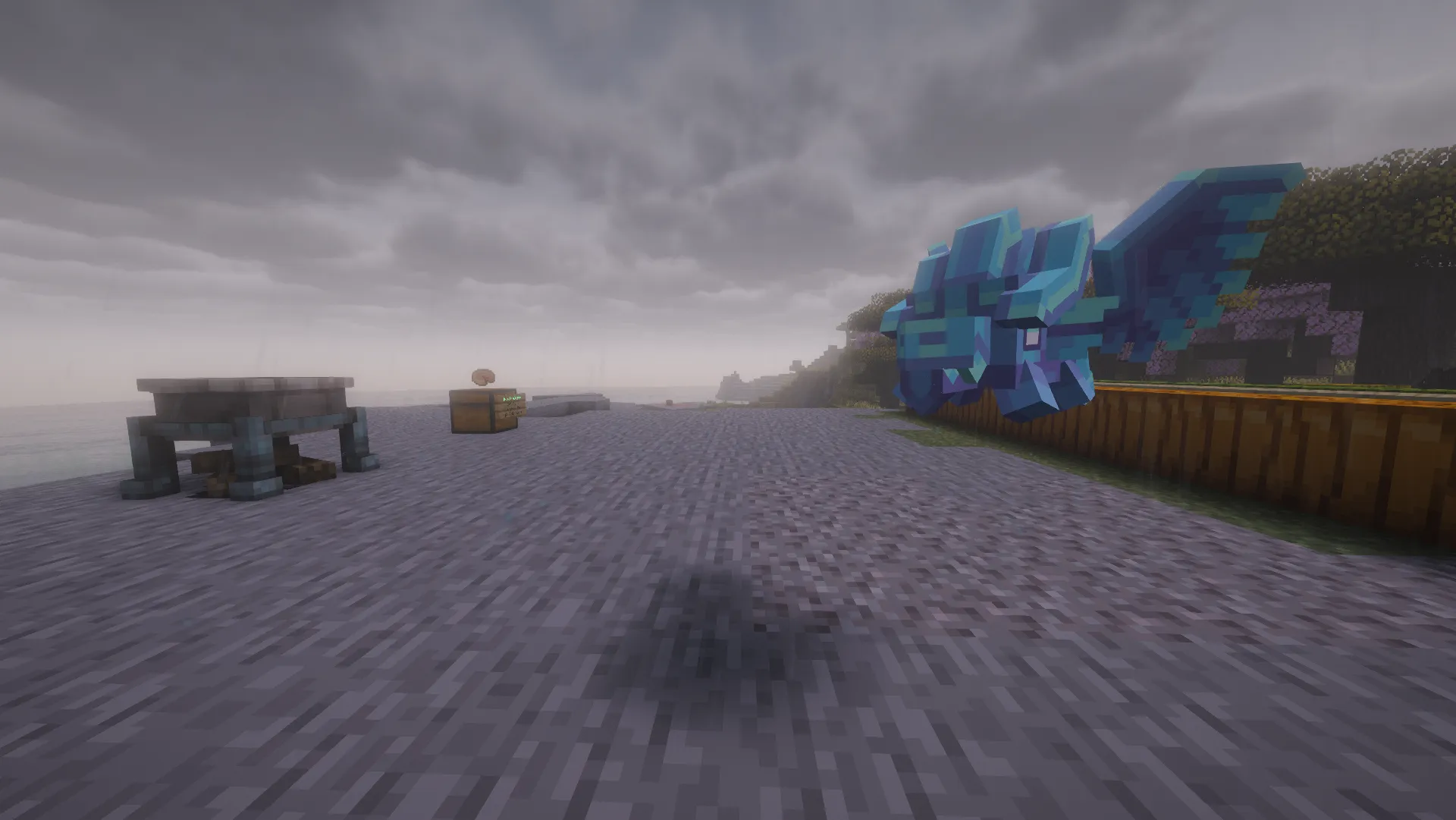 Unleash the Dragons - Elemental Companions Arrive